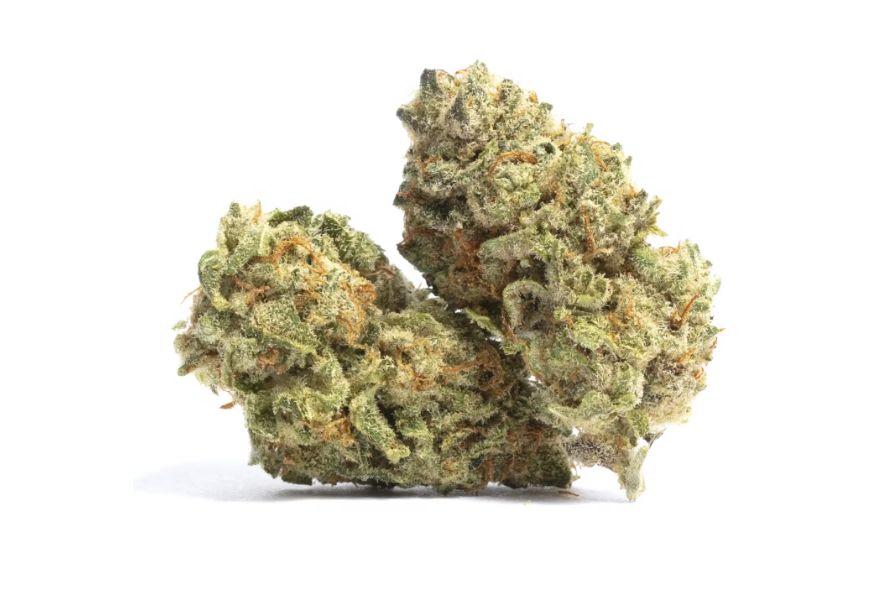 Zombie weed is not your everyday stash. This is a truly potent Indica bud that everyone needs. Find out more in this article! 