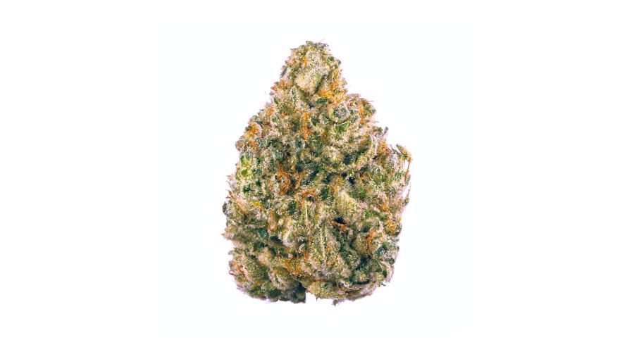 The AK-47 strain is a cannabis hybrid known for its high THC levels and balanced effects. Despite its intimidating name, this strain is quite calm and known for delivering a mellow high. 