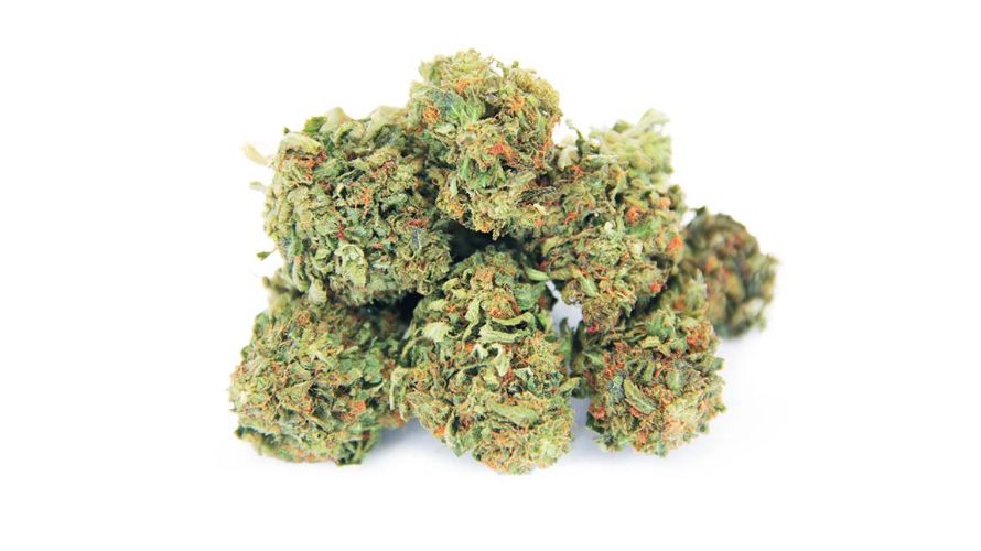 The Mataro Blue is an Indica hybrid with 70 percent Indica and 30 percent Sativa genetics. This means that the Mataro Blue can increase relaxation, enhance sleep quality, and boost your mood.