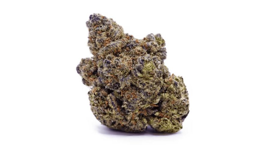 With over 22% average THC level, you can expect the Apple Fritter bud to have hard-hitting effects. And it doesn’t disappoint.