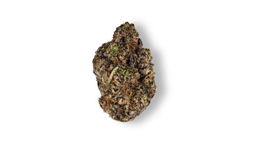 What do Apple Fritter weed buds look like? This strain produces some of the most gorgeous nugs at our BC bud online weed dispensary in Canada.