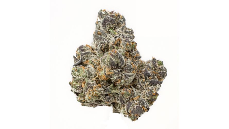 The Apple Fritter strain is a popular but rare cannabis strain. Over the last few years, this strain has grown to become one of the most loved buds in the country.