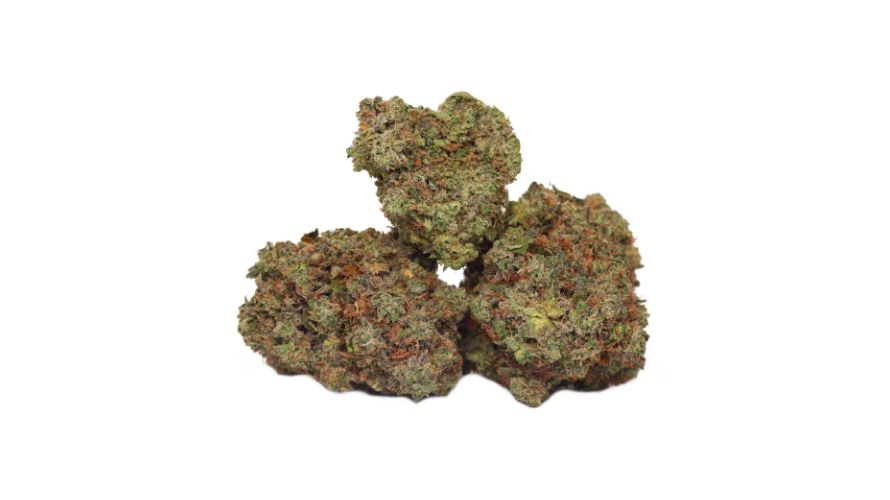 The El Chapo OG strain has a unique appearance that makes it pretty easy to spot once you want to buy BC bud online. 