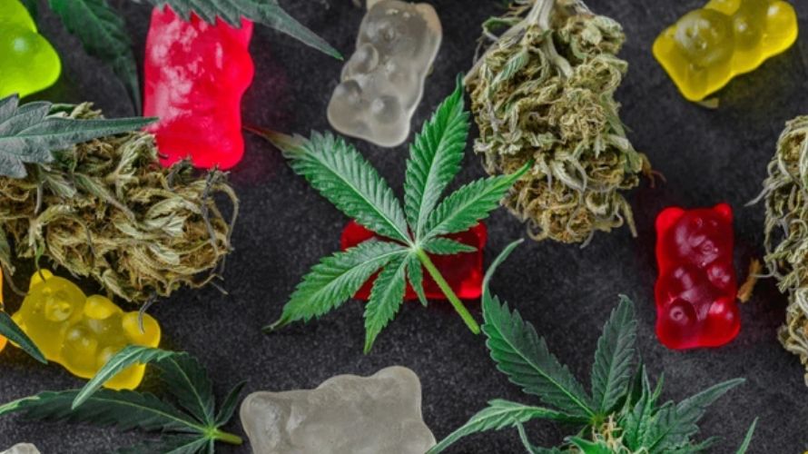 Is it possible to buy Canadian edibles online? Yes, it is. You can buy every type of weed online, from potent cannabis concentrates to edibles, flower, vapes and even accessories.