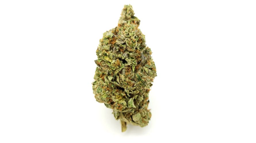 The Island Pink strain is perfect for all indica lovers who appreciate heavy effects and delicious flavours. This potent bud has everything going for it, from its gorgeous appearance to robust indica effects and delicious flavours.