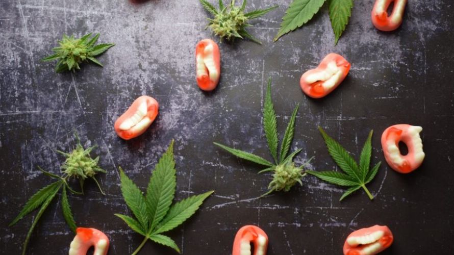 THC edibles, also called weed edibles or just edibles, are cannabis-infused food items. Edibles have been around for as long as humans have known about the benefits of cannabis. 