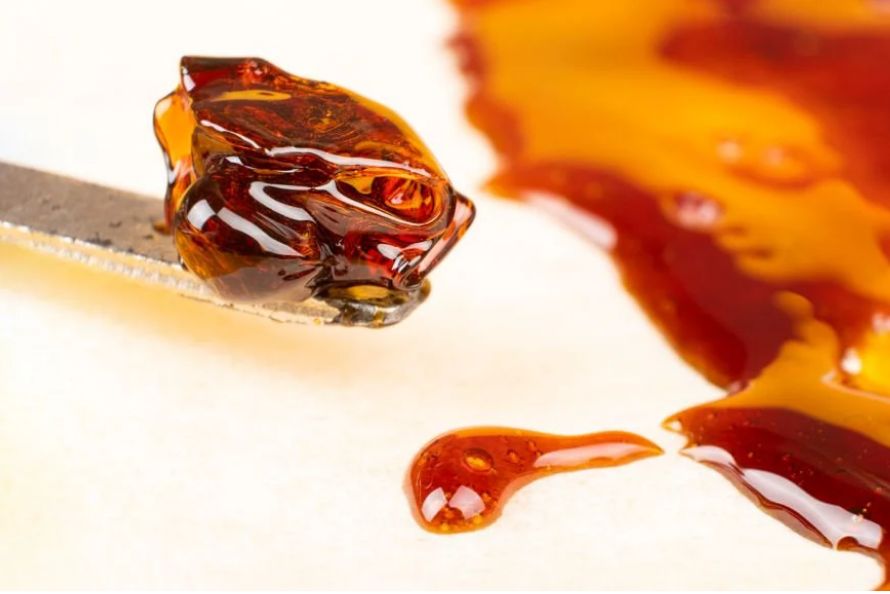 Aromatic, flavourful & potency are main ingredients of shatter weed. Find out about this cannabis delicacy & where to buy cheap shatter online. 