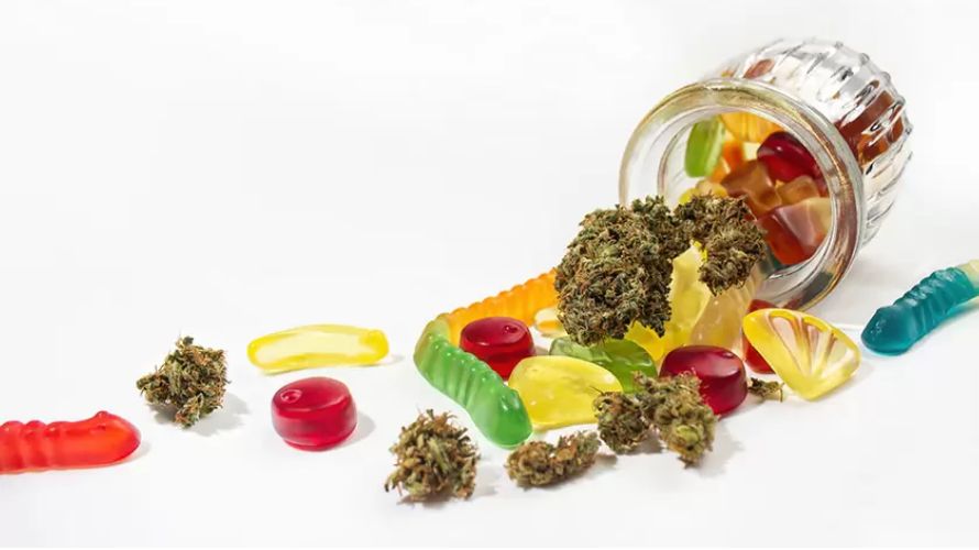 Now that you are aware of "how long do edibles last?" let's talk about the reasons why anyone should buy a cannabis edible.