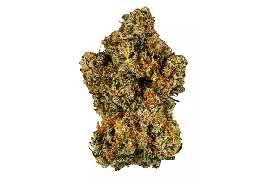 El Chapo OG strain is your secret remedy for a calm & gentle evening. Find out more in this article before heading to an online dispensary. 