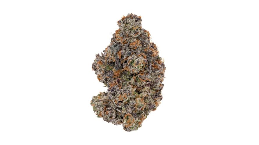 The Godfather OG strain is the baby of some of the most respected cannabis strains in history. It was born from crossing the iconic OG Kush, Cherry Pie, and Grandaddy Purple, a holy trio known for its insane effects and even more addictive flavours and aromas. 