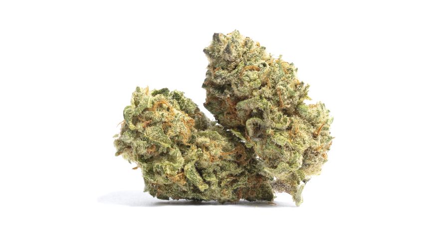 If you have experienced the best BC bud online, like the Grandaddy Purple, OG Kush, or Cherry Pie, you know how insanely good the flavours and aromas of Godfather are.