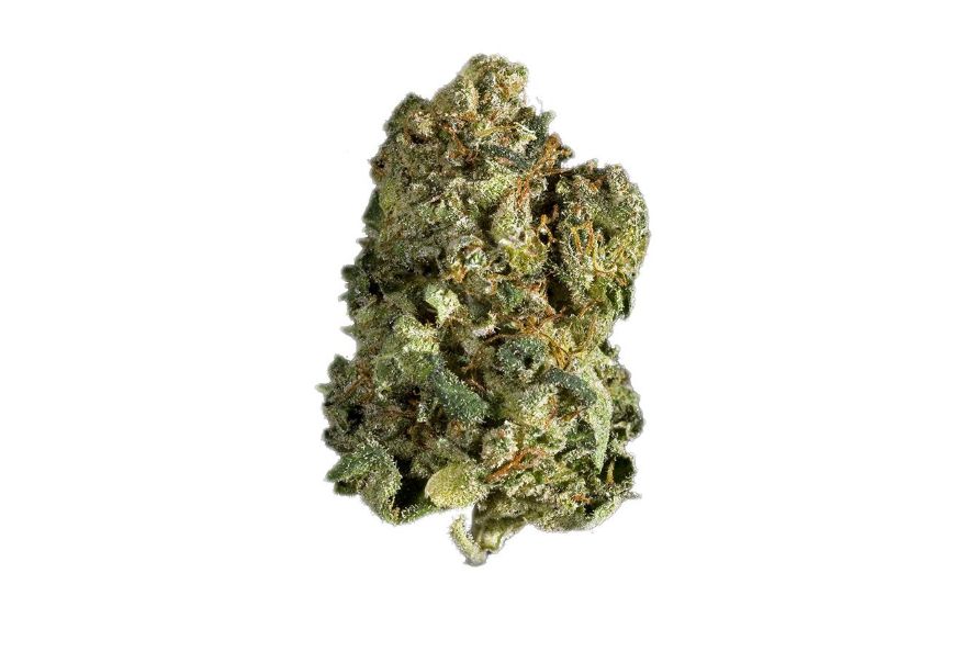 Gorilla Glue is a potent, flavourful, and aromatic strain that's worth the hype. Find out why this sticky bud is worth adding to your list of favourites.