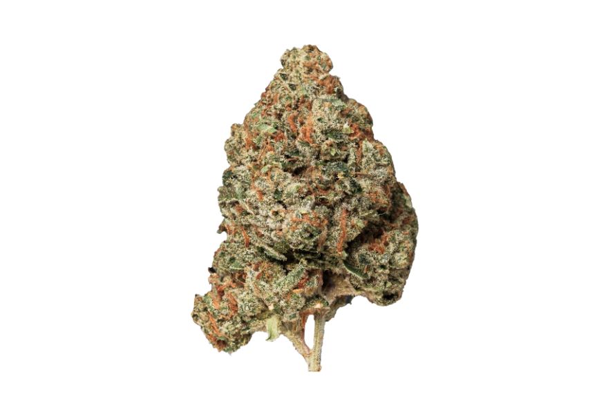 Is the Island Pink strain worth buying? Discover Pink Island’s gorgeous buds, indica effects, flavours & where to buy weed online in Canada.