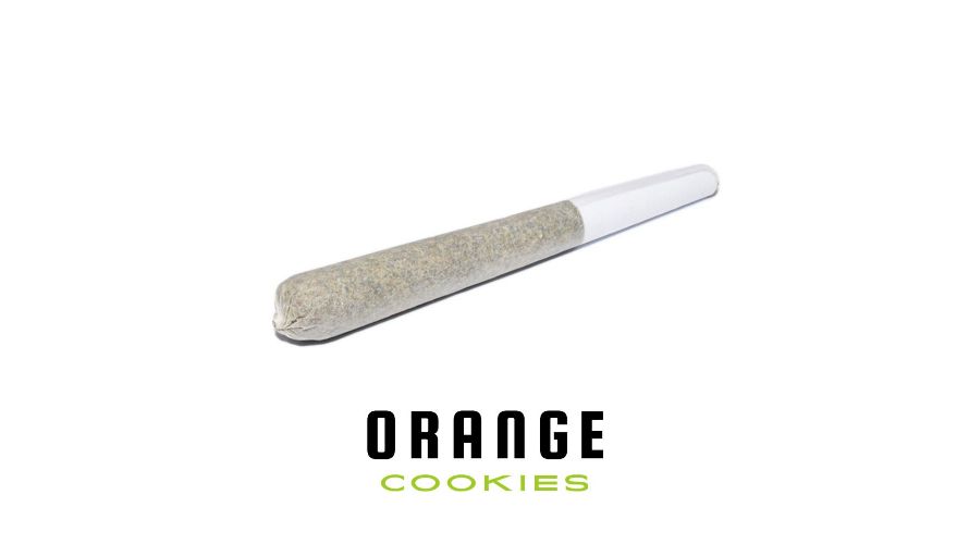 A premium craft cannabis product from Ascend, these Orange Cookies pre-rolls will be a delightful start to your day. 