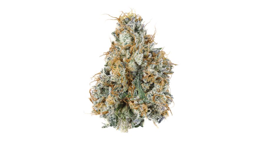 The physical properties of indica varieties are one of the biggest reasons why stoners buy indica flower online. They often grow shorter than sativas, with dense buds and thick foliage.