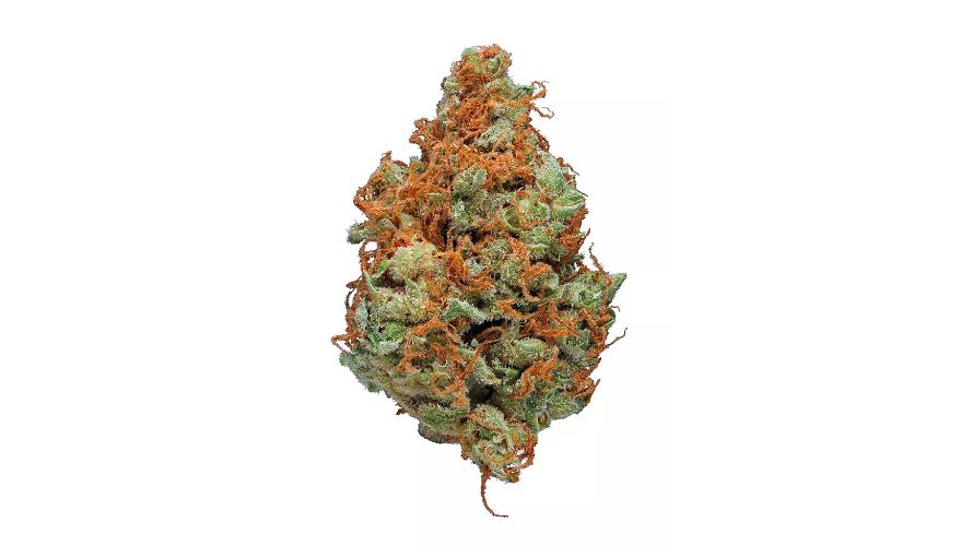 The Strawberry Cough strain is one nug that every stoner should add to their must-try list as soon as possible. It has super delicious flavour and aroma, and the effects are out of this world.