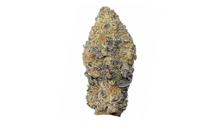 Strawberry Fields is a rare indica dominant hybrid created by the breeders at Sagarmatha Seeds. Sagarmatha is a cannabis breeder based in Amsterdam, known for its potent and flavourful strains.