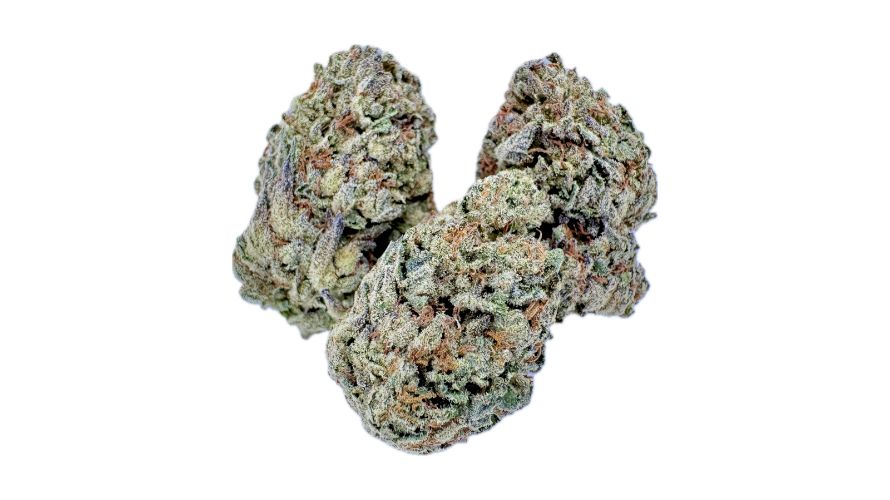 Gorilla Glue weed is packed with terpenes contributing to its aroma, flavour, effects and benefits. 