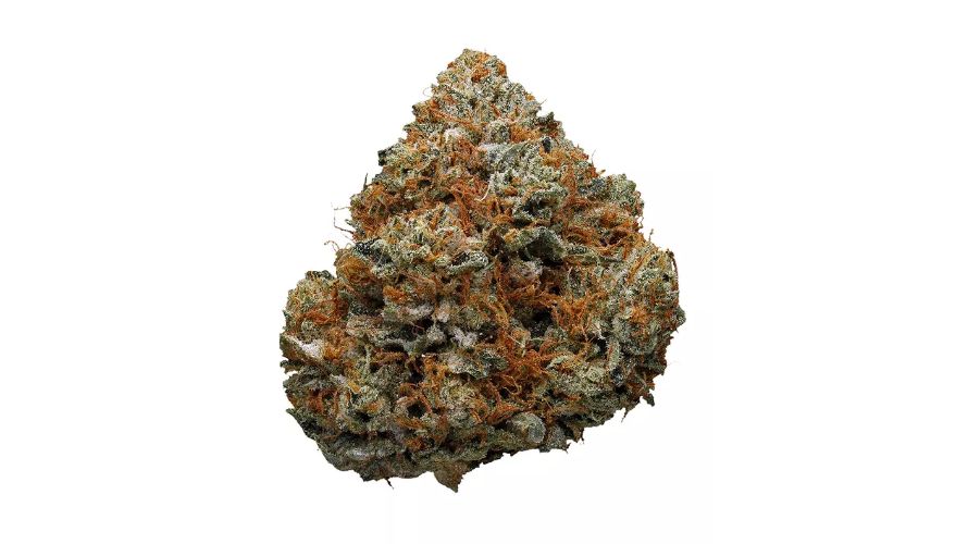 No one can mess with the Godfather OG strain. Its THC levels can range from 22 to 34 percent, depending on where you get it from and the type of product you buy.