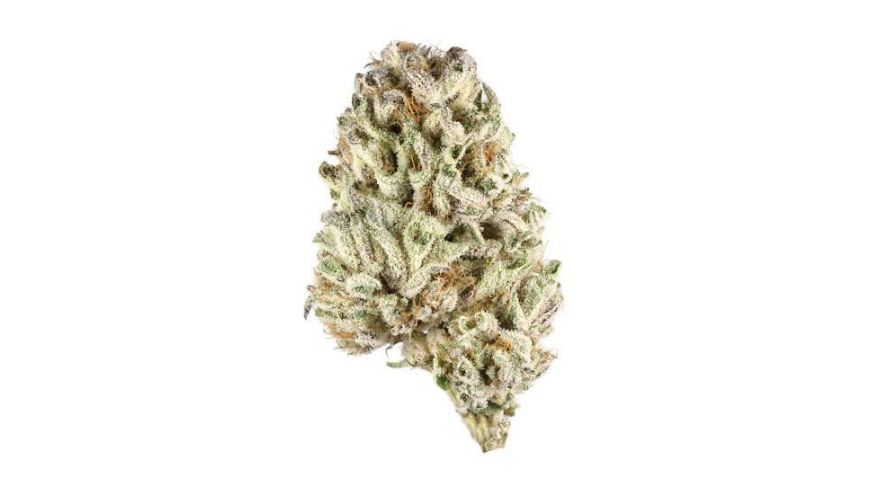 The Godfather OG contains around 25 percent THC, but sometimes the cannabinoid content can reach 35 percent. Buy cannabis online from a respected dispensary to receive the most potent strains on the Canadian market.