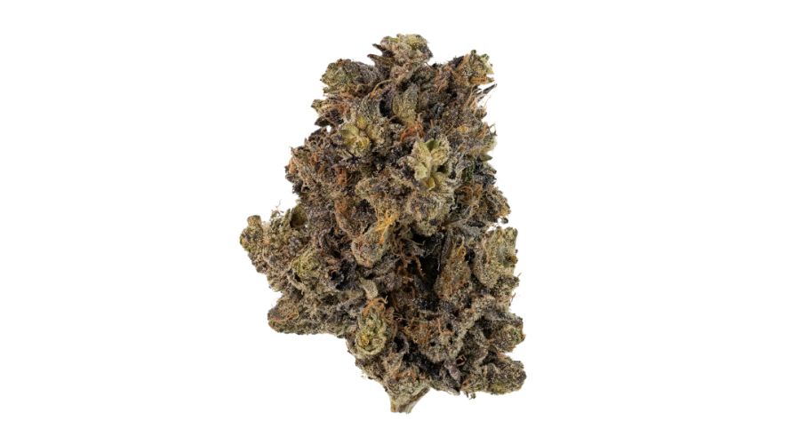 The Pink Island strain is many things, but your normal cannabis bud. Enthusiasts have described it as many things, but most seem to settle around being delicious, enigmatic, potent, and just incredible overall.