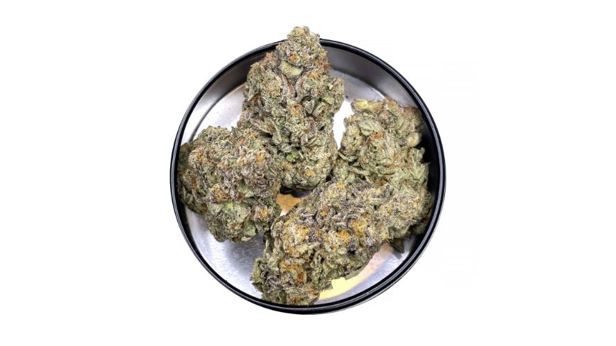 Like its parents, the Birthday Cake weed strain produces gorgeous nugs. Its large buds feature indica and sativa characteristics to remind you of its perfectly balanced genetics.