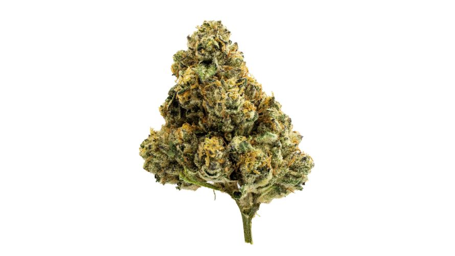 As you can tell by their names, the Birthday Cake parent strains are also as flavourful as it is, if not more. Here’s some background about the two strains crossed to make the Birthday Cake strain.