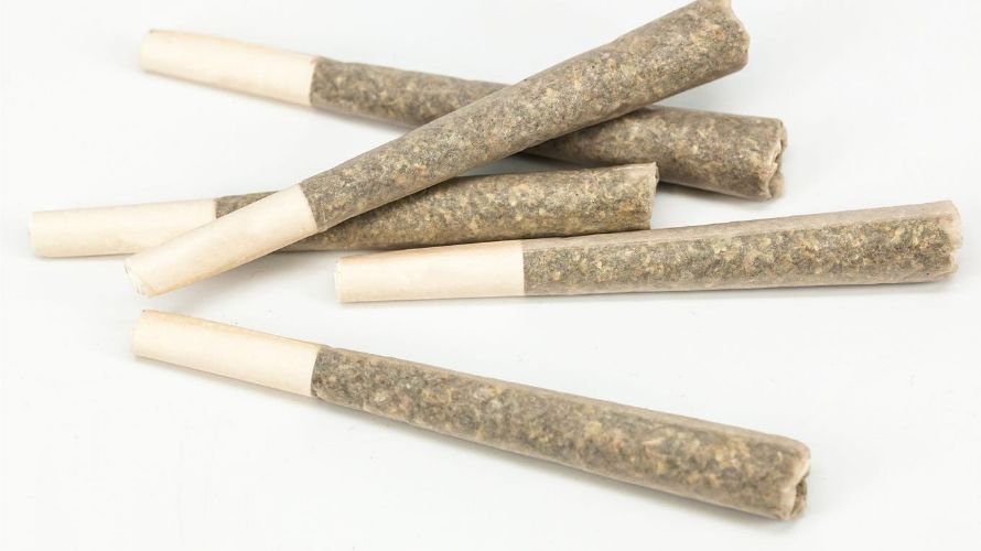 Blunts and joints are the most popular forms of cannabis consumption used by millions of stoners in Canada and the world at large. 