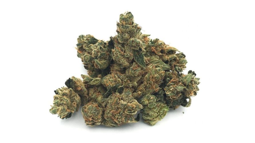 Bulk weed refers to high amounts of weed that will serve you for months to come. While there is no exact description of how much bulk weed is, weed pounds is bulk weed. 