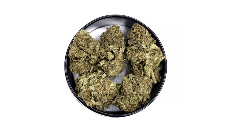 You will be pleasantly surprised to find out that getting the cheapest weed online in Canada is possible without burning a hole in your pockets. Even better, you don’t have to compromise on quality, safety, and effectiveness.