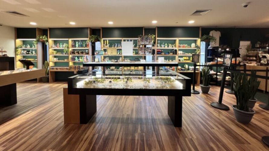 Discount cannabis is weed sold at reduced prices to save you, the consumer, some money. This includes products on sale, offers, discounts and even coupons. 