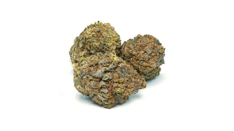 Let nobody tell you otherwise: Death Bubba is a potent Indica strain that delivers an intense body high that can cause greening out. 