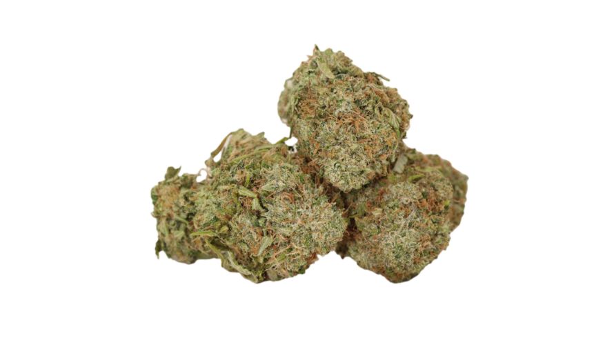 To ensure that you’re getting high-grade Death Bubba weed, buy it from a reputable online weed dispensary in Canada, such as Chronic Farms. 