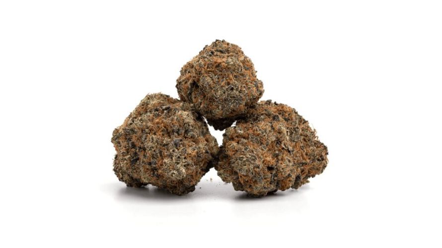 This strain produces gorgeous buds that attract anyone trying to order weed online at our dispensary in Canada. Donkey Butter nugs are large and conical and have an indica-like dense structure.