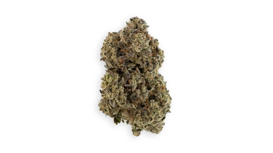 Donkey Butter weed is a rare cannabis strain that is taking over the Canadian cannabis industry. This cheekily named strain is a cross between the classic Triple OG and Grease Monkey strains.