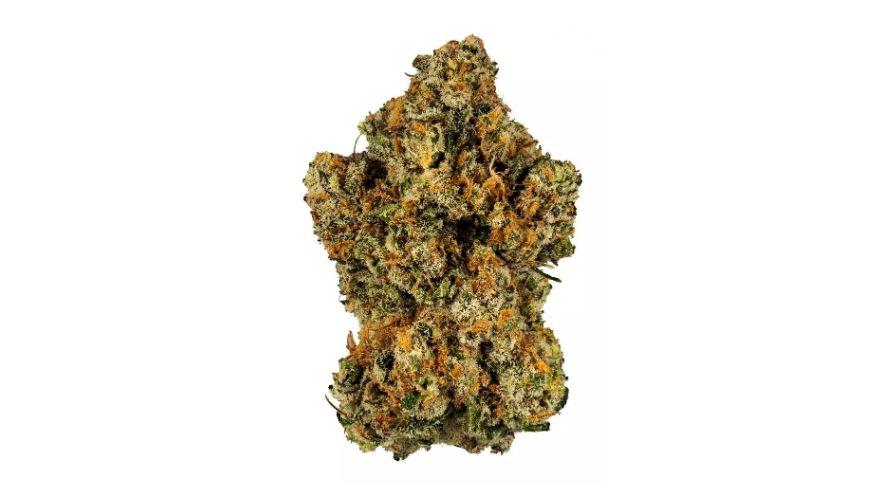 Donkey Butter is a celebrity child. It’s a cross between the Grease Monkey and Triple OG strains. 