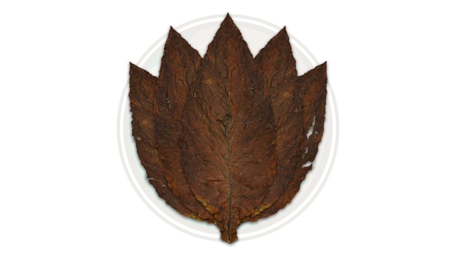 Fronto and fanta leaves are different types of tobacco leaves that are used similarly to Grabba. Here's how they compare.