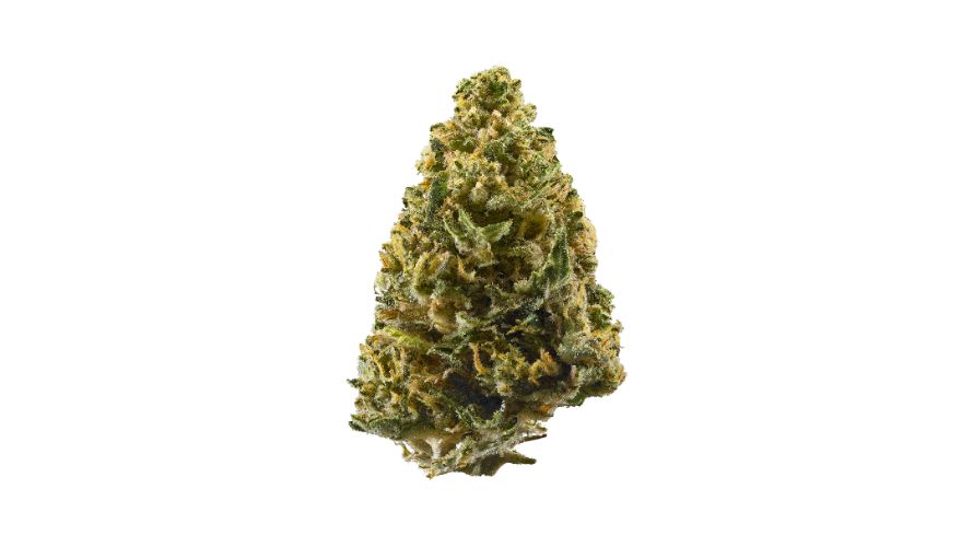 The Northern Lights weed strain is among the most potent Indica dominant strains, with approximately 90% Indica genetics and only 10% Sativa. 