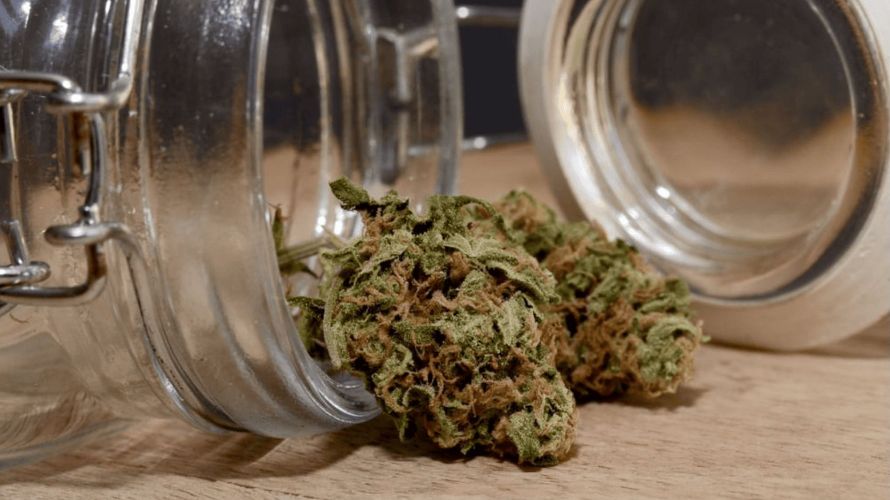 A reliable online weed shop will make sure that every cannabis product undergoes rigorous laboratory testing and that the results are available online or on demand. 