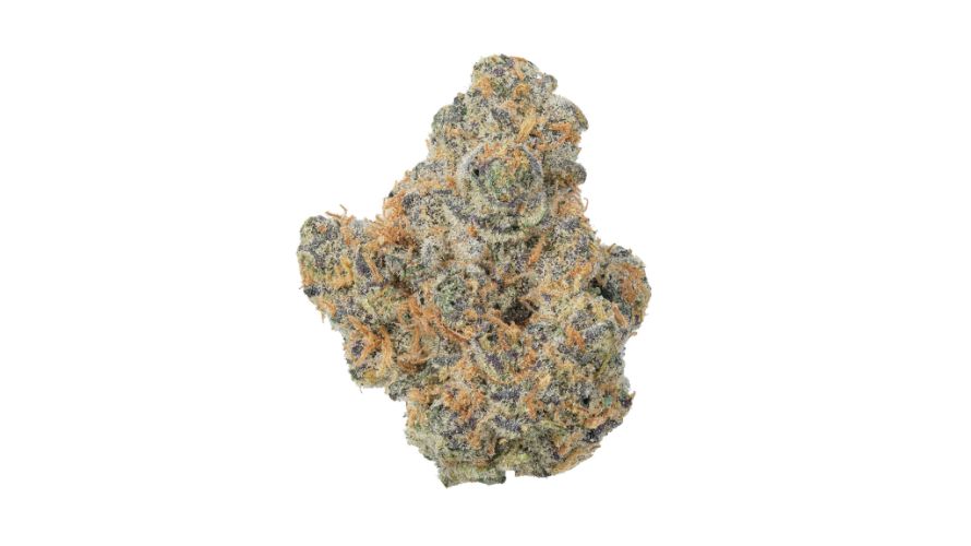 Yes, Sour D is a potent strain, typically containing between 20 to 25 percent THC. Our Sativas at Chronic Farms are the most intense, some topping 30 percent THC.