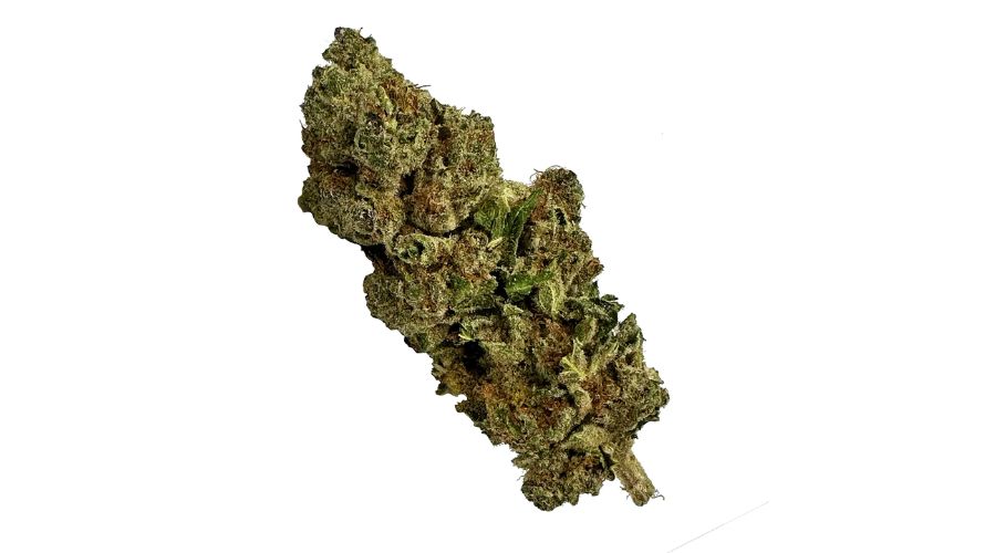 Amnesia Haze is a premium cannabis strain that, in our opinion, is worth every penny. This bud has incredible clearheaded effects, a classic cannabis aroma, and tastes so darn good.