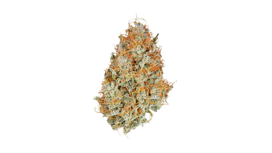 Amnesia Haze is very potent. It averages at 22% THC in available tests and at less than 1% CBD.