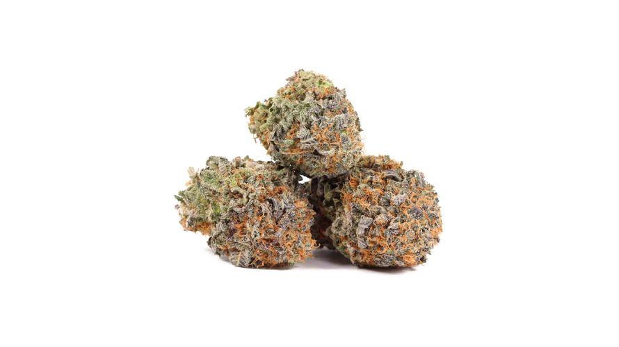 The BC Blueberry strain is among the first BC buds to get significant attention outside of Canada. This strain started its history in the 1970s in British Columbia, where it was first bred and grown.