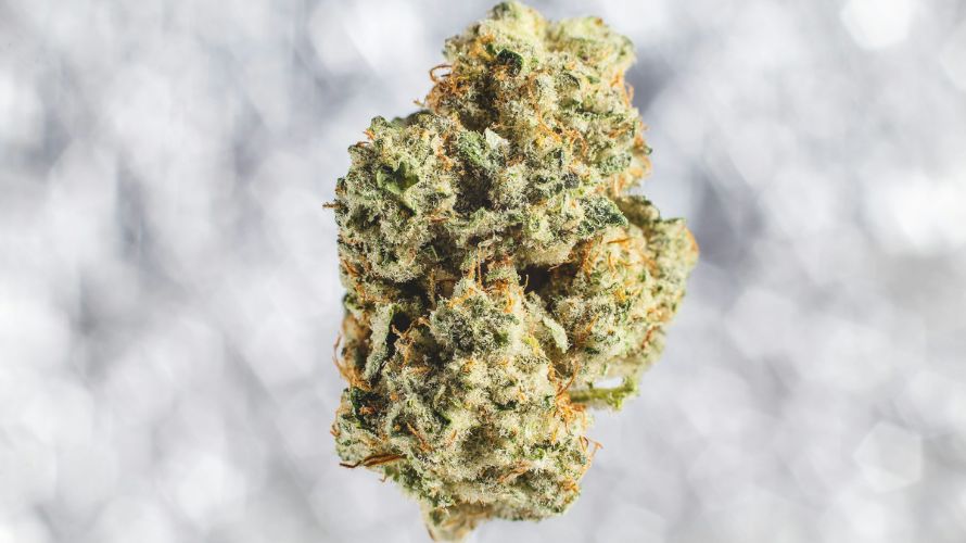 Finding the best weed deals is crucial for several reasons. First, the costs of purchasing weed can add up, especially if you are a regular consumer. 