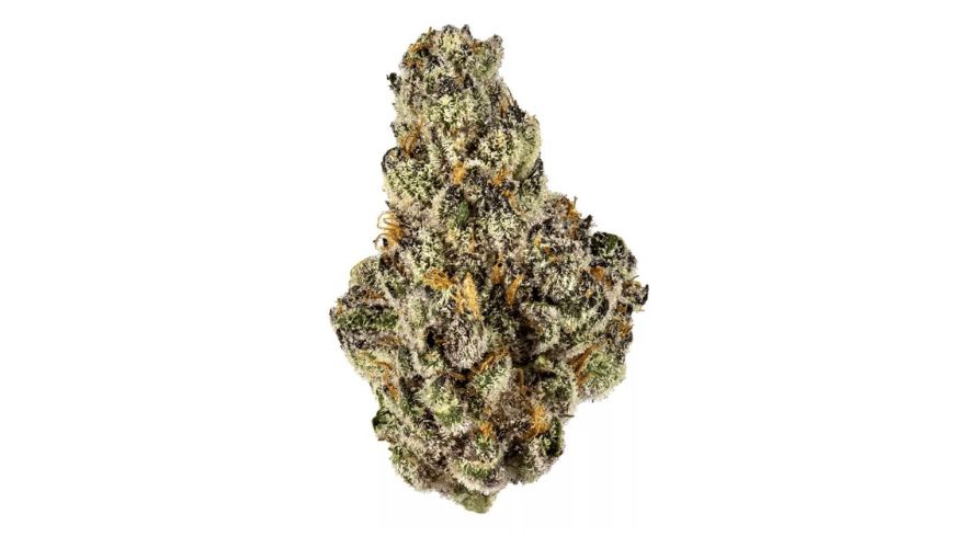 Chronic Farms is known for being the cheapest online dispensary in Canada. It offers only high-quality discount buds. Read on to learn more.