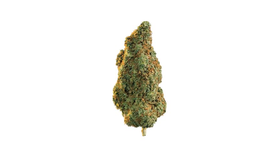 The Sour Diesel Strain, also known as Sour D, Sour Deez, or, in this case, Diesel Sour, is a popular cannabis bud known for its intense, mentally uplifting effects and medical benefits. 