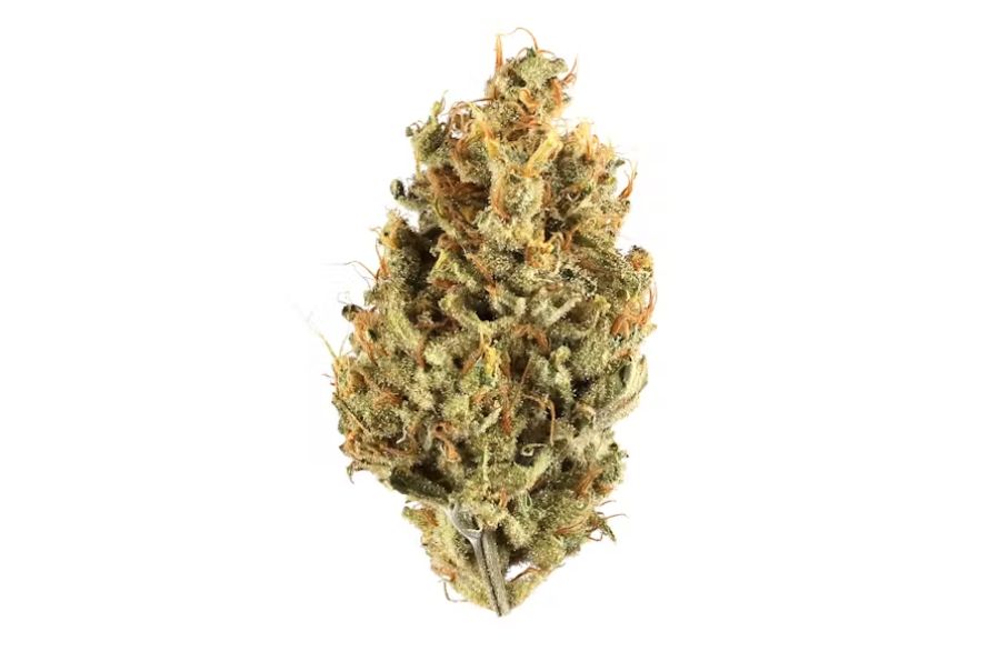 Explore iconic Diesel Sour strain, learn more about its highly energetic effects, bold aroma, classic flavours, lineage & where to buy it online.