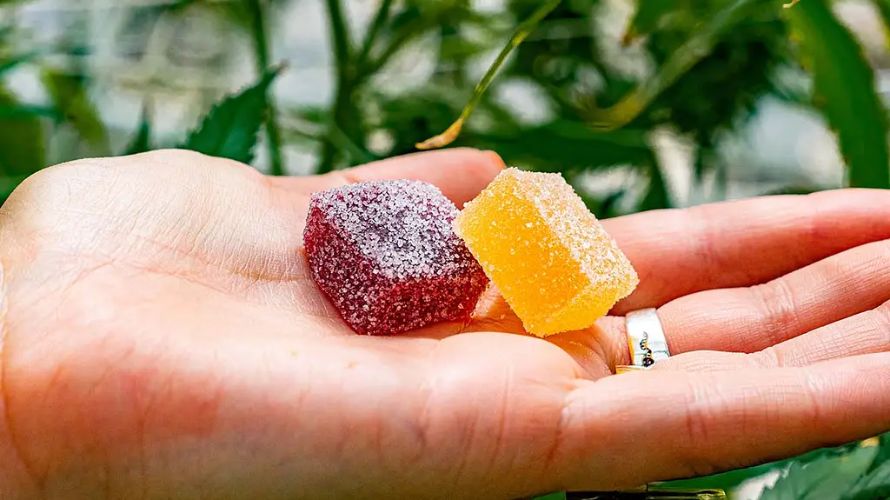 Edibles are perfect for when you want a long-lasting and discreet cannabis experience.