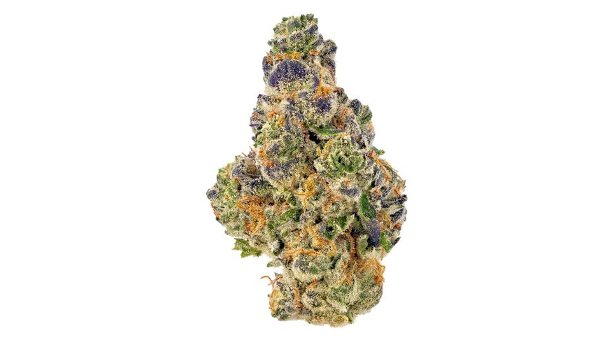 This is another strain that has helped cement the position of BC bud online. God Bud is a popular cannabis strain bred by a prominent Canadian-based breeder, Jordan of the Islands.