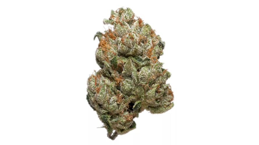 The goal of this weed review is simple. In this King Kong strain review, you will learn everything there is to know about this unique bud so you can use it properly and with confidence. 